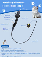 Endoscope électronique flexible de diagnostic vétérinaire, laryngoscope vidéo jetable de 5,8 mm
