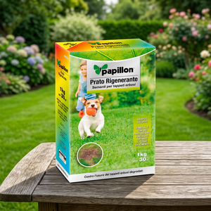 Graines de gazon pour réensemencement 1 Kg. - Product Image 3