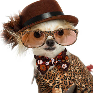 Autumn New Classic Luxury Floral <b>Bow</b> Tie <b>Dogs</b> Maillard Color Polyester Pet Apparel Accessory All Seasons - Product Image 4