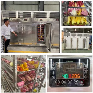 AICN Air Blast Advanced Fluidized Apple Frozen Green Peas Iqf Tunnel Freezer Machine