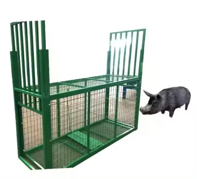 Kualitas tinggi 3 pintu Feral Hog Trap /Wild Hog Control Cage/Hog Trap Gallery