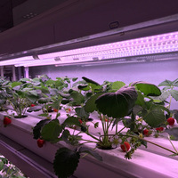Spectre complet LED élèvent la lumière blanc chaud 1FT ~ 8FT 5000K 6500K Linkable T8 Tube pour l'agriculture intérieure jardin plante serre