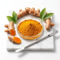 Extrait de curcuma pur naturel en poudre cristalline 95% curcuminoïdes de qualité alimentaire pour la santé des articulations