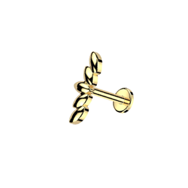 G23-Oro 11