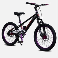 Vélo de montagne pour enfants populaire de 18/20/22 pouces avec frein à disque pour garçons et filles avec pédale ordinaire