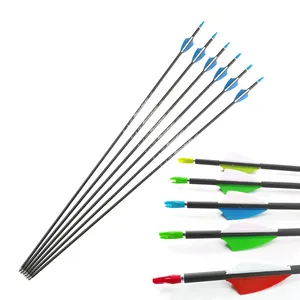 Pinals ID 4.2mm Carbon Arrow Shaft Recurve Compound Bow Arrows Hunting Plastic Vanes Steel Points Pin Nock