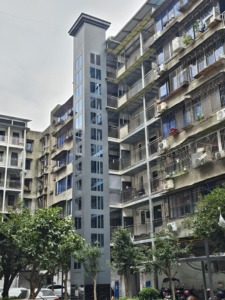 Ascensor Residencial Moderno Bowete <span class=keywords><strong>de</strong></span> Bajo Ruido con Motor AC, 200 kg, para Dos Personas, 2/3 Pisos, Uso en Talleres y Parques, en Venta - Product Image 1