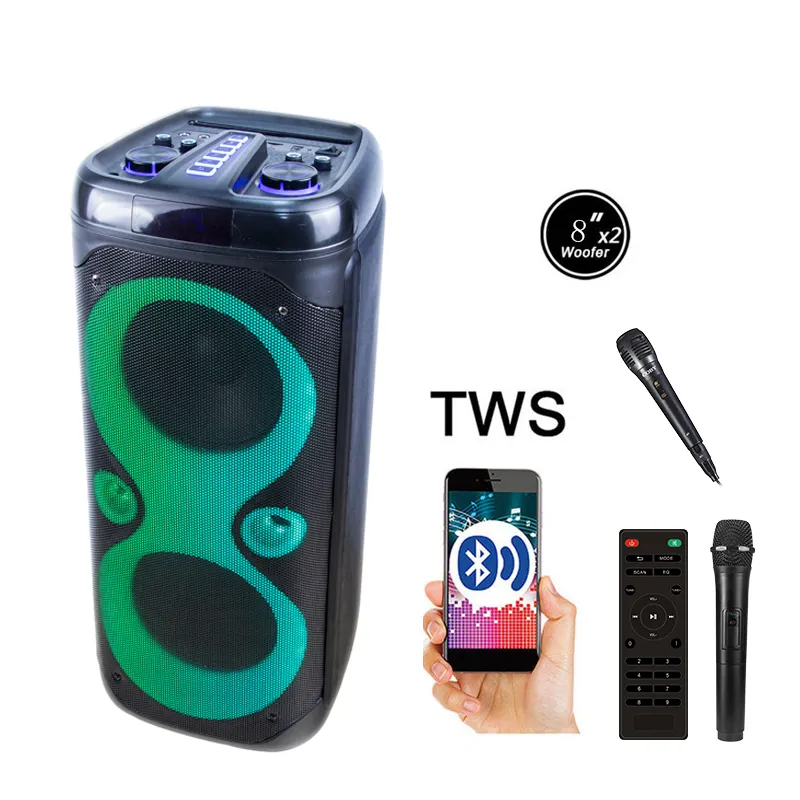 Nhà Sản Xuất Cao Cấp TWS 2X8 Inch Dẫn Ánh Sáng Xe Đẩy Karaoke Xách Tay DJ Bass Partybox 110 Đảng Loa Lớn Bluetooth Bt Loa