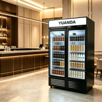 Réfrigérateur commercial Coca-Cola avec éclairage LED, vitrine réfrigérée pour boissons, réfrigérateur à vin en acier inoxydable pour bar à bière