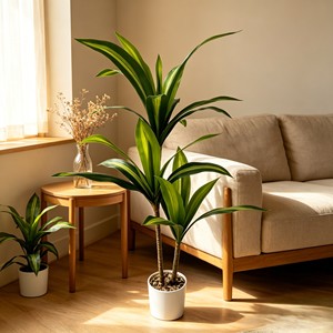 Lifelike Elegant Potted <b>Artificial</b> Cornstalk Dracaena with full lush leaves for office living room balcony green landscape inter - Product Image 5
