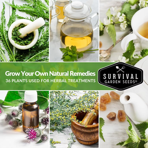 Ultimate 36 Variety Pack 28.000 + Non-GMO Heirloom Survival Garden Culinary Medicinal Tea Herbs Essential para bolsas de cultivo - Product Image 5