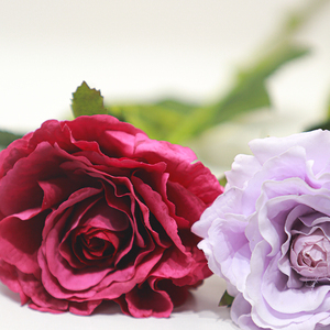 Haute qualité Real Touch thé <span class=keywords><strong>Rose</strong></span> hydratant fleurs artificielles pour noël mariage saint valentin décorations de fête de jardin - Product Image 4