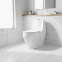 Toilette moderne à double chasse d'eau Réservoir dissimulé avec cuvette allongée Placard de toilette en céramique monobloc fabriqué en Chine