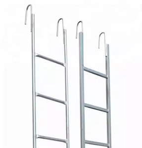 Prix d'usine, fabrication chinoise, échelle de chantier galvanisée - Product Image 1