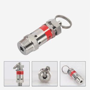 Roestvrijstalen Veerveiligheidsklep Prijs Met Fkm Afdichting Voor Stoomketel En Luchtcompressor Veiligheidsklep - Product Image 2
