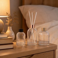 Bouteille diffuseur d'arômes vide réutilisable pour parfum d'intérieur, flacons en verre pour diffuseur à bâtonnets