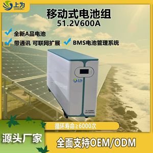 ระบบจัดเก็บพลังงานภายในบ้าน Shangwei 51.2V 600Ah LiFePO4 30KWh แบบติดตั้งบนชั้นวาง พร้อมระบบไฮบริดกริดและล้อเลื่อน - Product Image 5