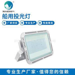 ไฟส่องสว่าง Bozhou TG21-L โทนสีวอร์มไวท์ สำหรับท่าเรือ คลังสินค้า ลานจอดรถ และแท่นขุดเจาะน้ำมัน - Product Image 2