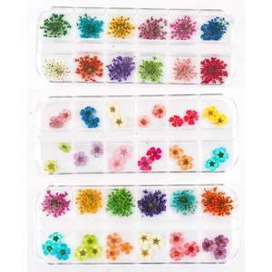 24 Colors <b>Mini</b> Real Natural Resin <b>Dried</b> <b>Flowers</b> 3D Applique Nail Decoration Kit Nail Art Supplies with <b>Dried</b> <b>Flowers</b> - Product Image 3