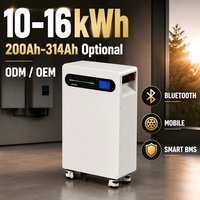 Batería Inteligente LED de 16 kWh, 51.2 V, 314 Ah, LiFePO4, Apilable, Paquete de Almacenamiento de Energía, Diseñada para un Sistema de Energía de Respaldo (ESS) Confiable para el Hogar