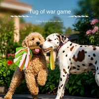 Jouet pour animaux de compagnie en peluche TPR interactif transfrontalier pour chiens chats soulagement molaire coloré élastique en polyester résistant aux morsures