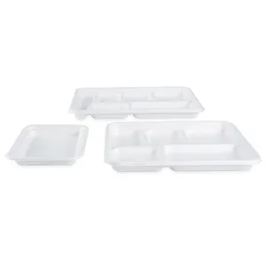 5 compartiments robuste anti-graisse Eco Bagasse papier de service jetable plateau de restauration rapide assiette à déjeuner biodégradable