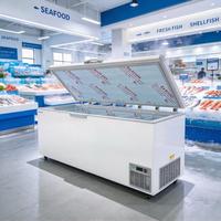 Congélateur coffre commercial à température unique 818L -65°C pour restaurants et supermarchés