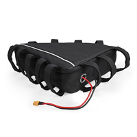 Batterie externe semi-solide personnalisée Eeyrnady en forme de triangle avec BMS et connecteur XT60, modèle 13S6p, 800 cycles, pour vélo électrique