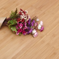 Plancher en bambou massif de conception moderne pour l'intérieur, stratifié tissé carbonisé, écologique, antidérapant, certifié CE, pour les espaces de vie