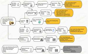 Healthife 100% tinh khiết tự nhiên hericium erinaceus Bột Sư tử của bờm nấm bột - Product Image 2