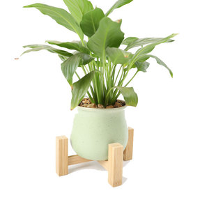 Succulent plant stand, office/living room desktop, pothos/bamboo/wood small <b>flower</b> stand, balcony <b>flower</b> pot <b>support</b>, modern - Product Image 3