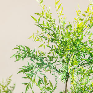 Árbol de Bambú Artificial <span class=keywords><strong>Nandina</strong></span> en Maceta, Planta Artificial Verde y <span class=keywords><strong>Roja</strong></span> para Decoración de Interiores del Hogar - Product Image 5