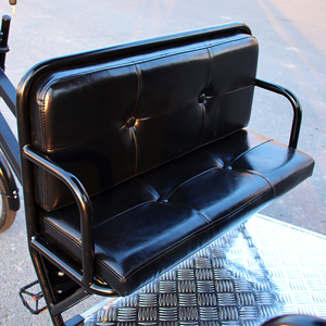 Tricycle familial à assistance au pédalage, 3 roues, vélo cargo électrique à longue portée, vélo rétro, E-rickshaw - Product Image 4