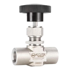 Valve à aiguille Accutek 1/4 po NPT haute pression en acier inoxydable pour eau, air, huile - Product Image 1