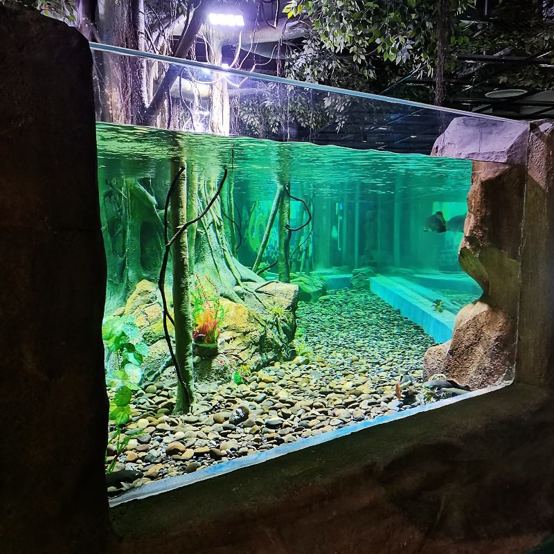 Freshwater Aquarium Chinese Fish Tank Decorations Best China