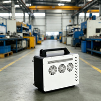 Machine de nettoyage laser pour pierre montée sur chariot, décapant de peinture pour bois, meilleur prix direct usine