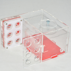 Casa para Reptiles DIY con Área de Alimentación, Hormiguero, Taller de Insectos, Hormiguero para Mascotas con 6 Tubos de Yeso, Diseño Floral de Verano de Plástico - Product Image 3