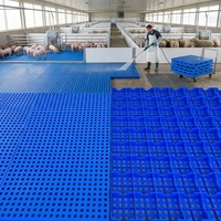 Suelo de Láminas de Plástico Ecológico, Cuadrado, de una Sola Cara, para Aves de Corral, Resistente a la Humedad, con Orificios, Carga Estática de 1000 kg, para Almacenes