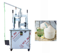 Kleine elektrische kokosnootschilmachine met 304 roestvrijstalen messen, 110V/220V compatibel, hoge productiviteit voor fruitverwerking