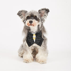 Tanpopo สายรัดคอแบบปรับได้ชุดเดรสพิมพ์ลายใหม่ชุดสูทสุนัขสไตล์อังกฤษผูกโบว์ปลอกคอสัตว์เลี้ยง - Product Image 2