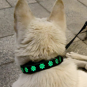 <span class=keywords><strong>Collar</strong></span> Luminoso para Mascotas de Varios Tamaños, <span class=keywords><strong>Collar</strong></span> LED Recargable con Tira Reflectante y Carga Tipo-C para Perros - Product Image 4