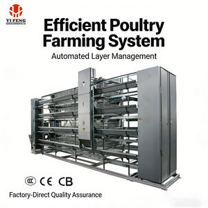 Cages à poulets en batterie de type H, galvanisées, durables, structure <span class=keywords><strong>RTL</strong></span>, capacité de 1000 poulets, cages à poulets à vendre - Product Image 1