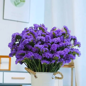 Ramo de Flores Secas, <span class=keywords><strong>No</strong></span> Me Olvides, Flores Secas <span class=keywords><strong>para</strong></span> Decoración del Hogar, Decoración de Bodas - Product Image 1