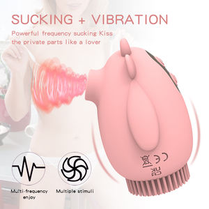 Vibrateur à succion rechargeable pour clitoris, brosse à succion pour clitoris et mamelons, jouet sexuel vibrant pour lécher oralement, pour femmes adultes - Product Image 3