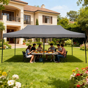 Carpa de Exhibición Comercial 3x6M Impermeable para las Cuatro Estaciones, Gazebo Plegable de Acero de Alta Resistencia al Agua, <span class=keywords><strong>Toldo</strong></span> para Acampar, Color <span class=keywords><strong>Rosa</strong></span> - Product Image 1