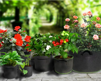 Sacs de culture pour plantes en polypropylène haute résistance Enbagold 20L (5 pièces) en tissu non tissé respirant avec poignées réutilisables pour tomates