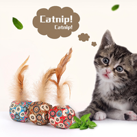 Jouet interactif pour chat en peluche florale et plumes, formes souris, poisson, balle, pour stimuler votre chat