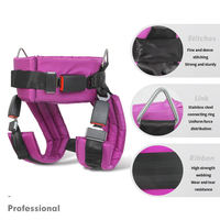 Ceinture de sécurité pour trampoline à bungee pour enfants, harnais de trampoline, crochets en acier galvanisé, accessoires de sécurité durables et écologiques