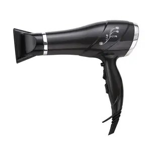 Household Saloon Equipments 3 Heat Settings DC Motor Hair Dryerblowdryer With Removable End Closure