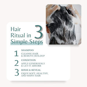 Set <span class=keywords><strong>Shampoo</strong></span> e Balsamo al Rosmarino OEM per Capelli Tinti e Permanentati, Anti-Forfora, Controllo Oleosità, Riparazione, Effetto Luminoso e Setoso - Product Image 5